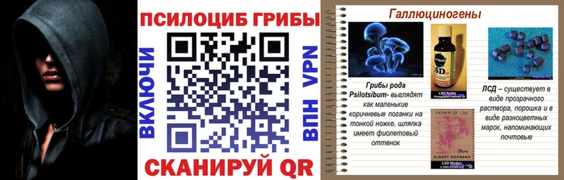 блэк спрут ссылка  Вышний Волочёк  Галлюциногенные грибы Magic Shrooms 